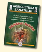 Agricultura Banatului-nr5-2005