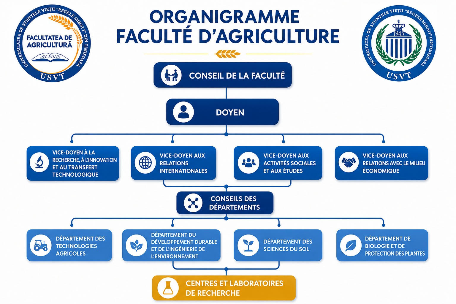 organigrama