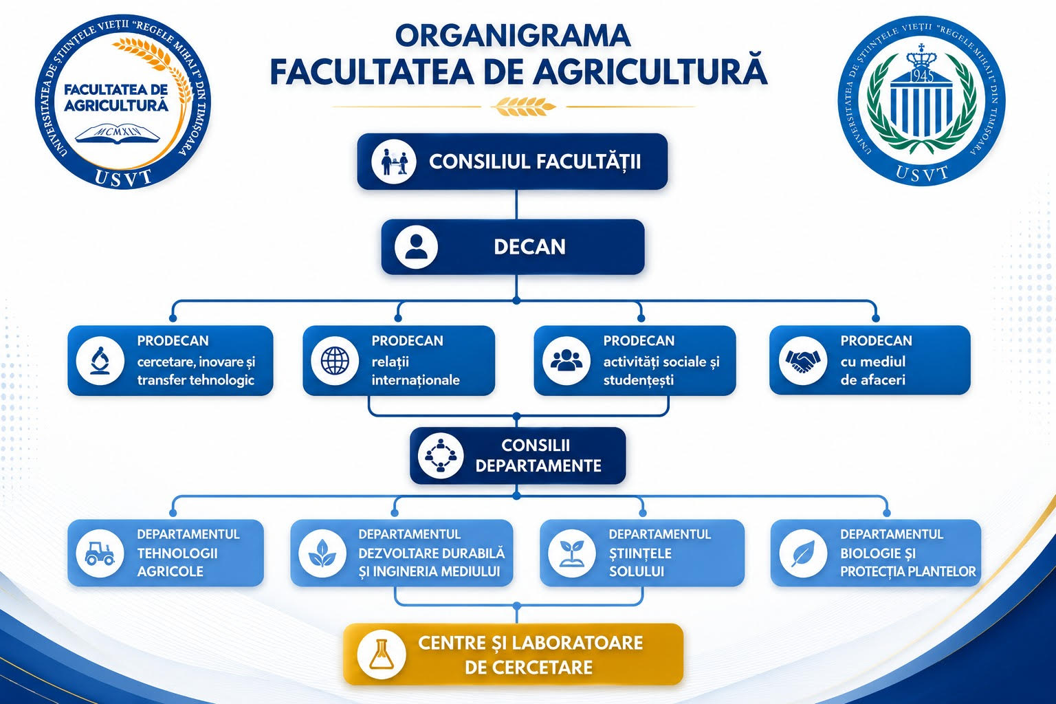 organigrama
